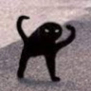 Meet your Posher, Destiny